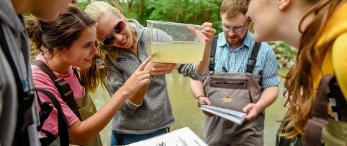 Biology students conducting a field study